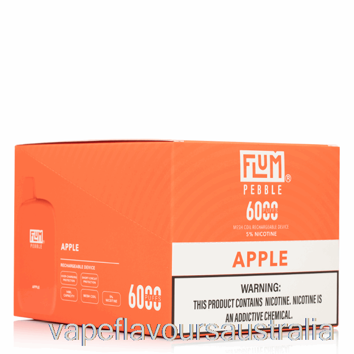 Vape Australia [10-Pack] Flum Pebble 6000 Disposable
